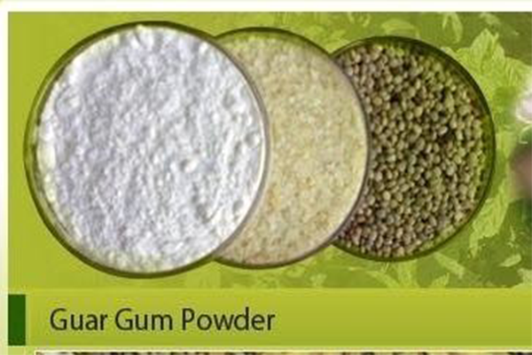 Guargum Powder
