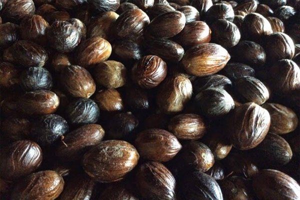 nutmeg in shell